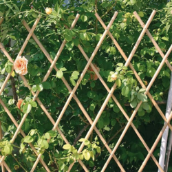 Traliccio estensibile Legno bamboo