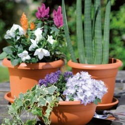 Vaso piante Rotondo in plastica terracotta