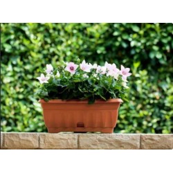 Vaso Venezia rettangolare con sottovaso integrato 3 MISURE