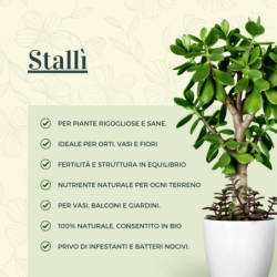 Ammendante Stallì Concime Organico – Vitaflor