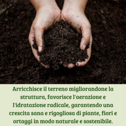 Ammendante Stallì Concime Organico – Vitaflor