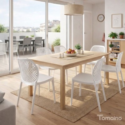 Sedia in plastica da giardino Aria Bica